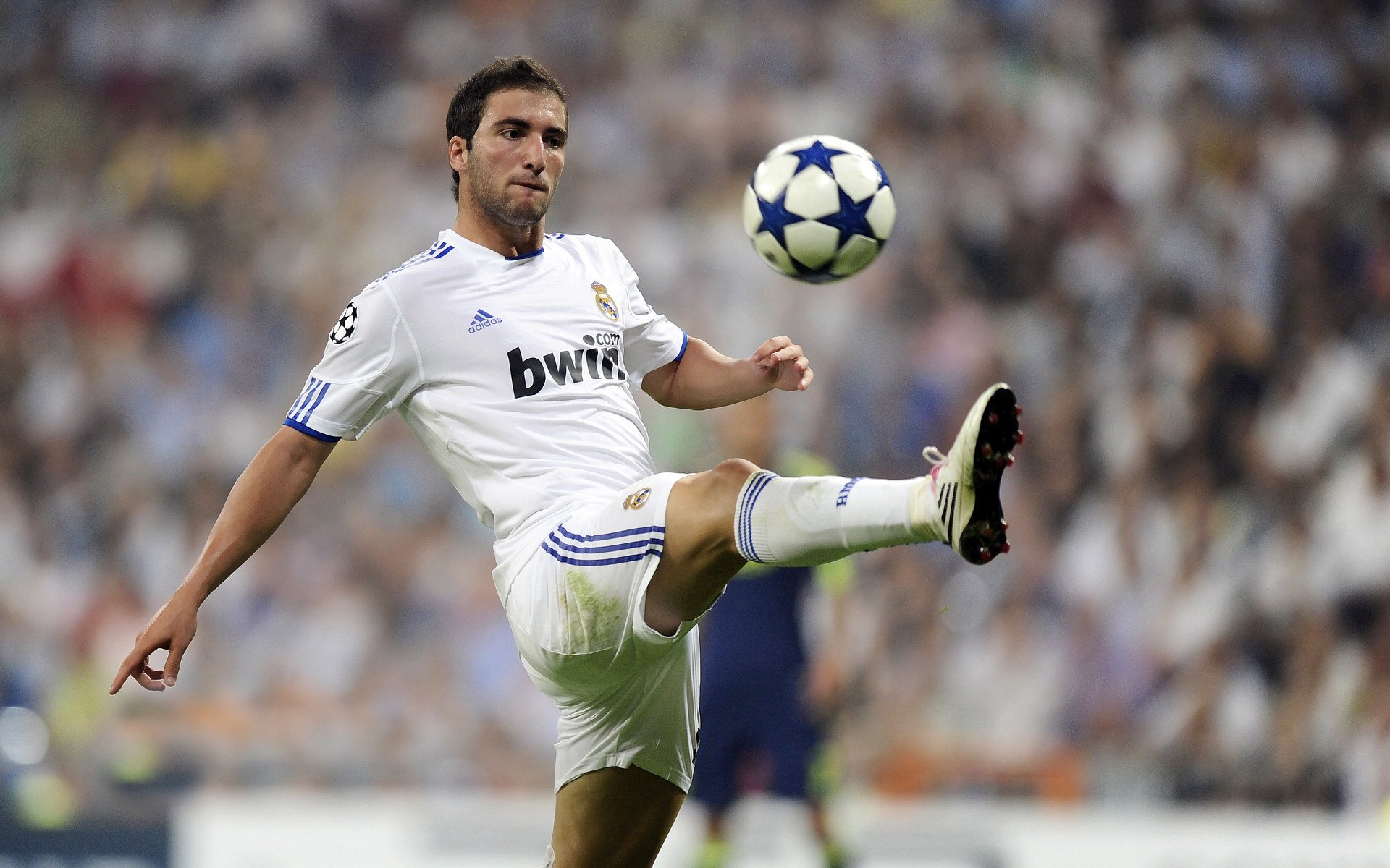 广厦队窒息式连胜施压魔术，哈利伯顿攻防一体诠释现代控卫答案